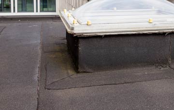 disadvantages of Wynds Point flat roofs