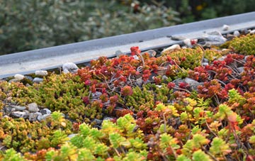 the cost of Wynds Point green roof installation