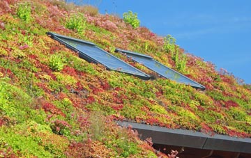 Wynds Point living roof systems